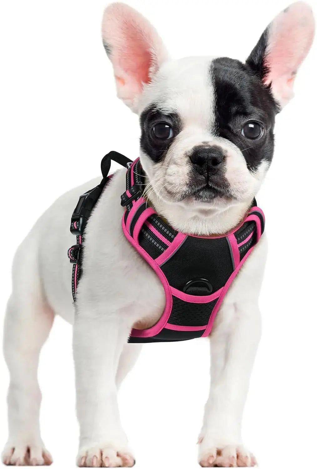 No-Pull Reflective Dog Harness, Heavy-Duty Oxford, Adjustable