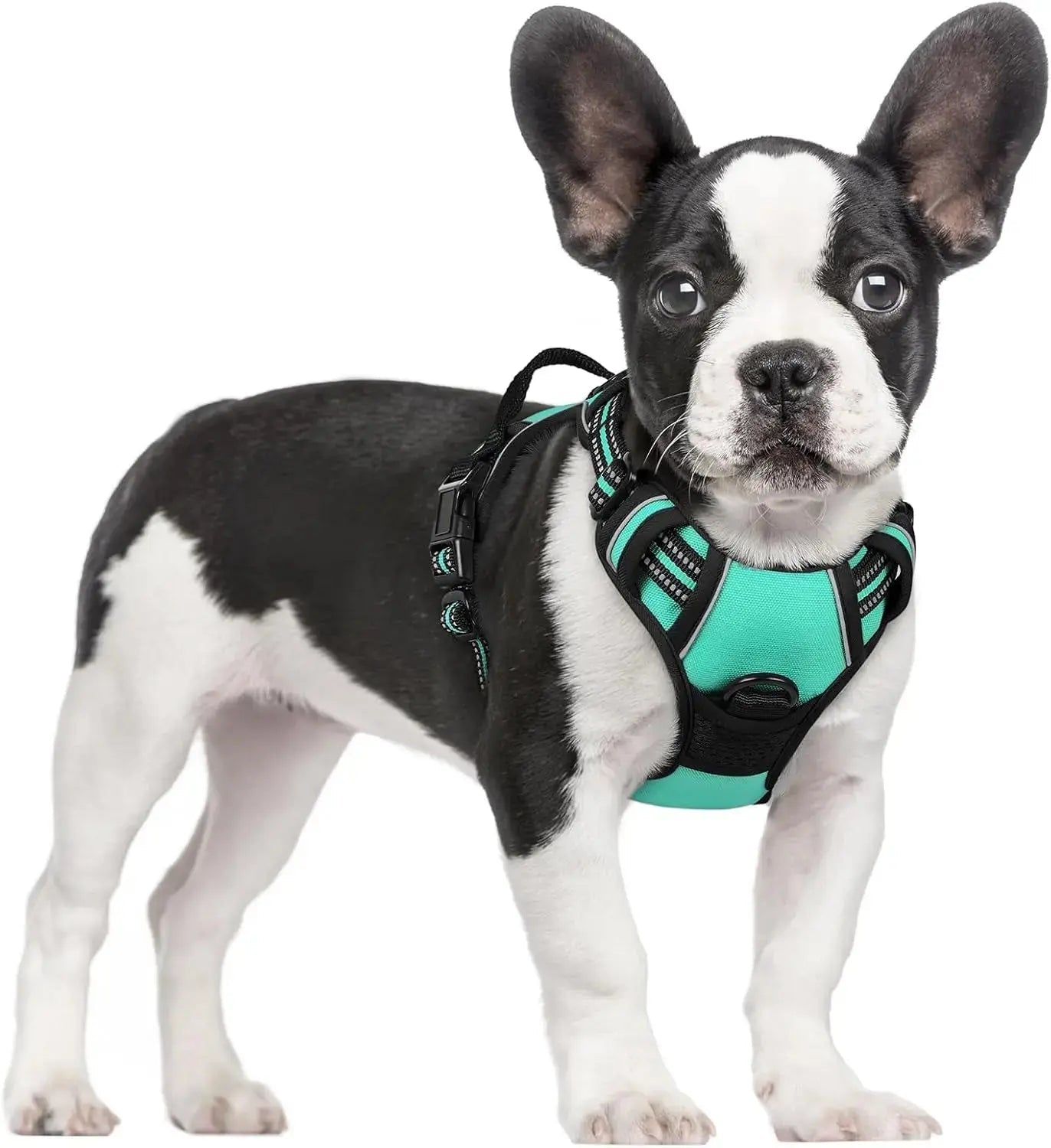 No-Pull Reflective Dog Harness, Heavy-Duty Oxford, Adjustable