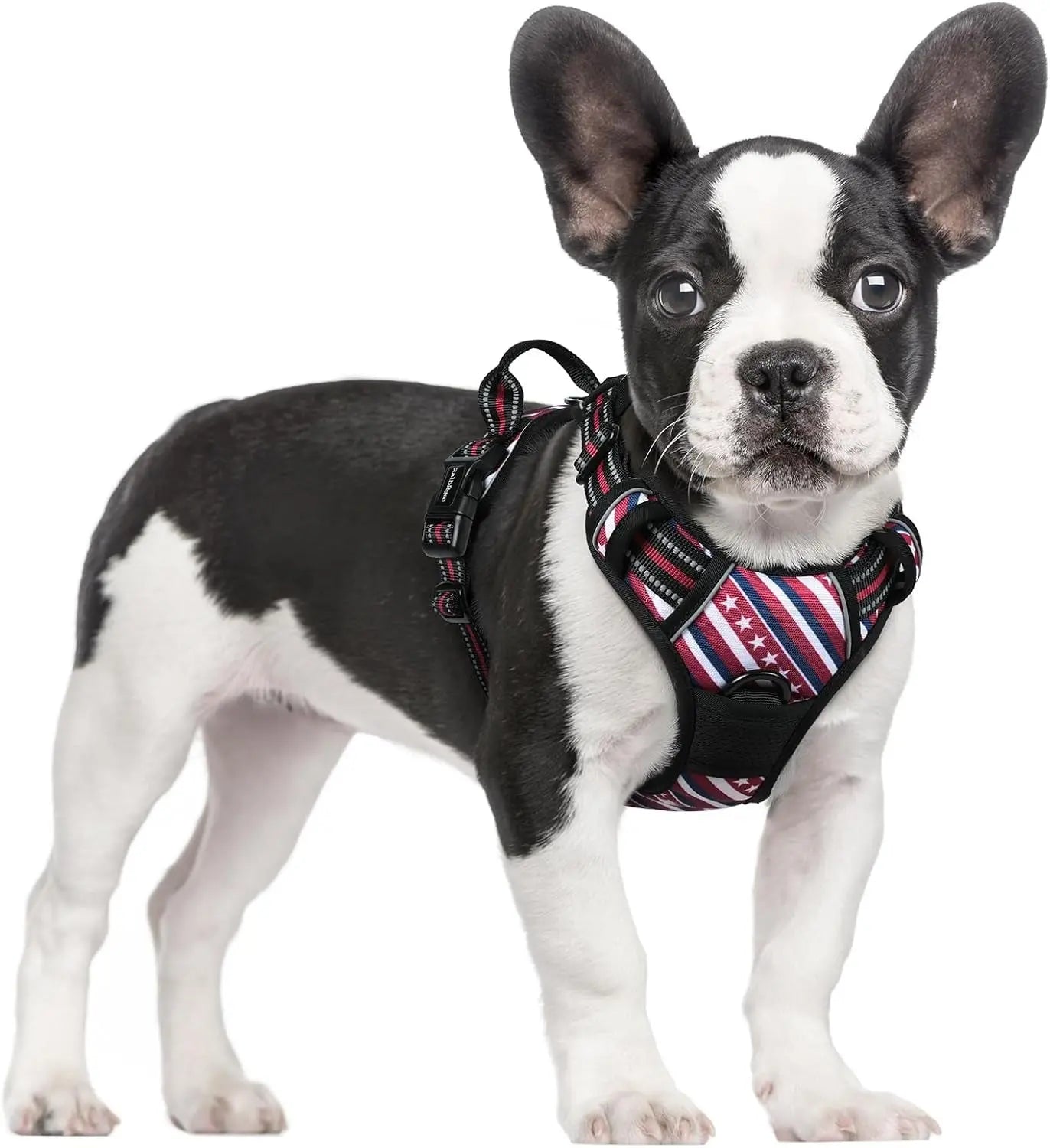 No-Pull Reflective Dog Harness, Heavy-Duty Oxford, Adjustable