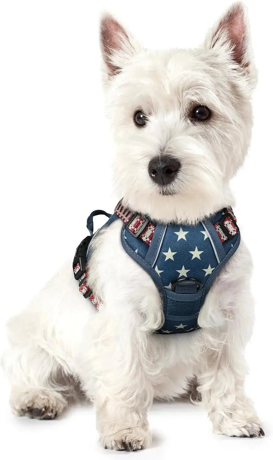 No-Pull Reflective Dog Harness, Heavy-Duty Oxford, Adjustable