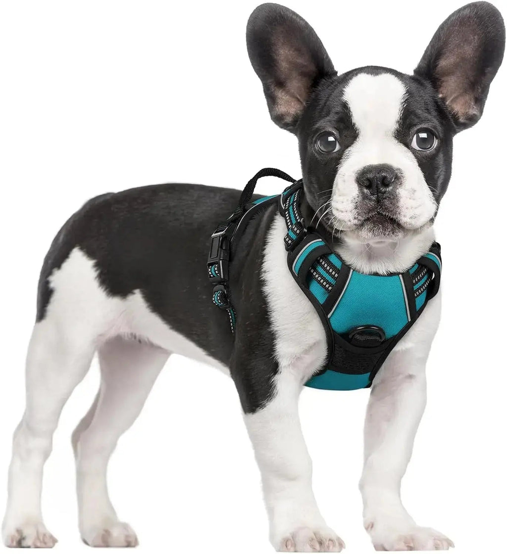 No-Pull Reflective Dog Harness, Heavy-Duty Oxford, Adjustable