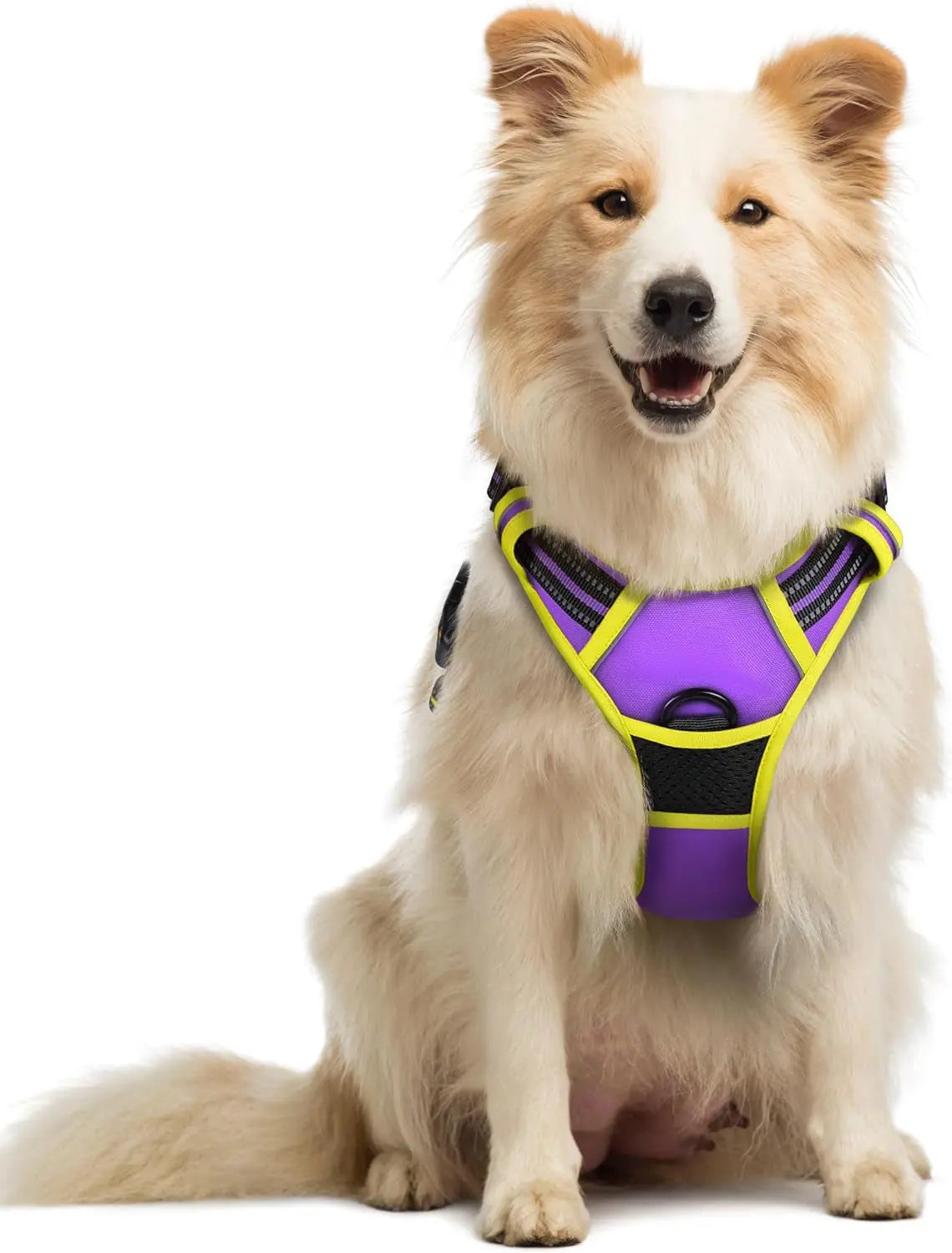 No-Pull Reflective Dog Harness, Heavy-Duty Oxford, Adjustable