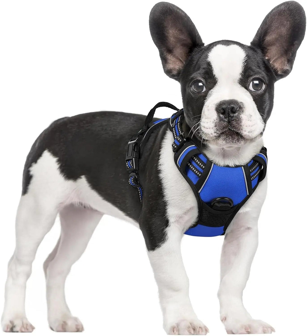 No-Pull Reflective Dog Harness, Heavy-Duty Oxford, Adjustable