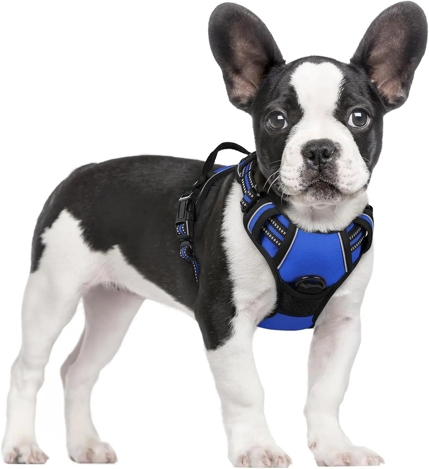 No-Pull Reflective Dog Harness, Heavy-Duty Oxford, Adjustable