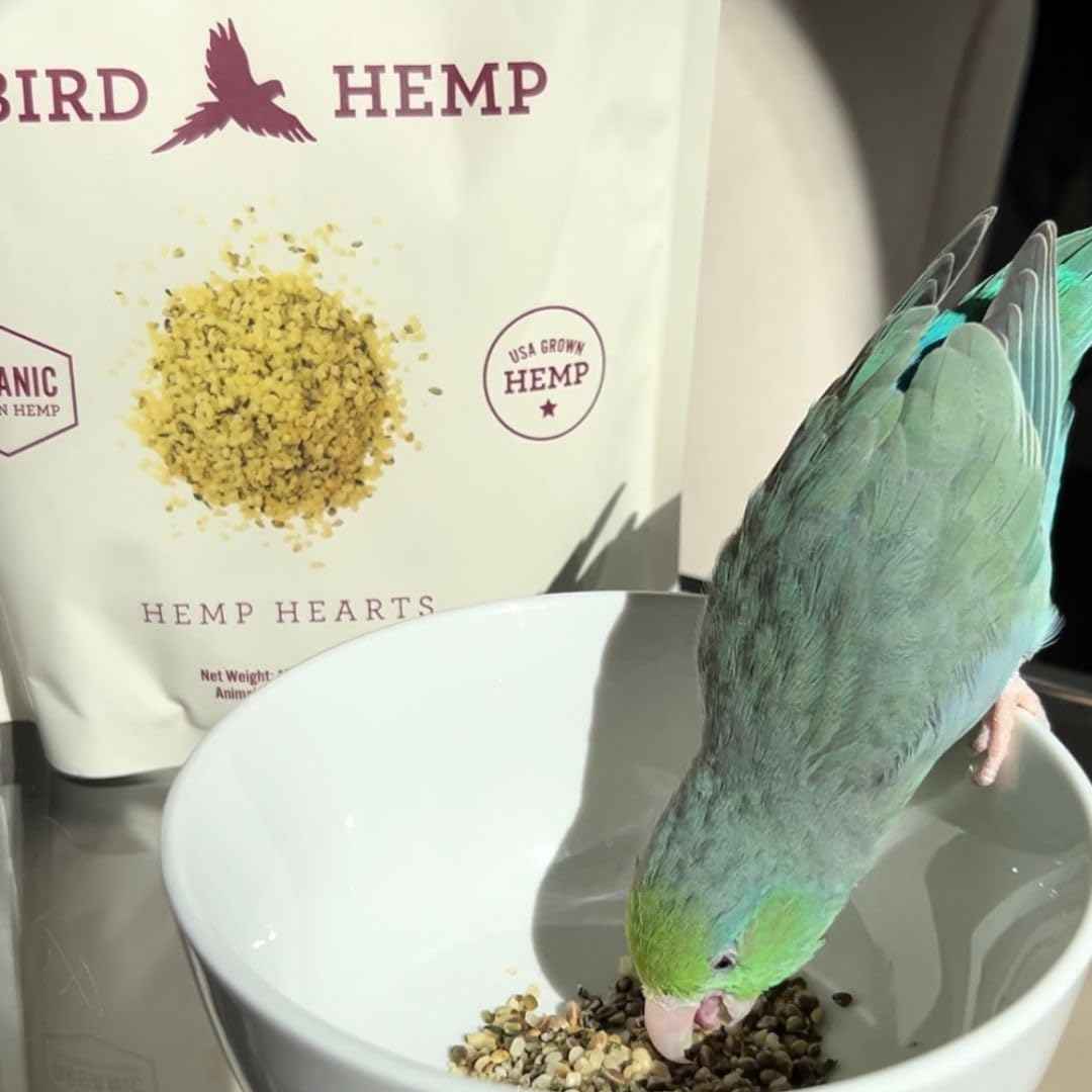 Organic Hemp Hearts for Birds, 8oz Feather Support