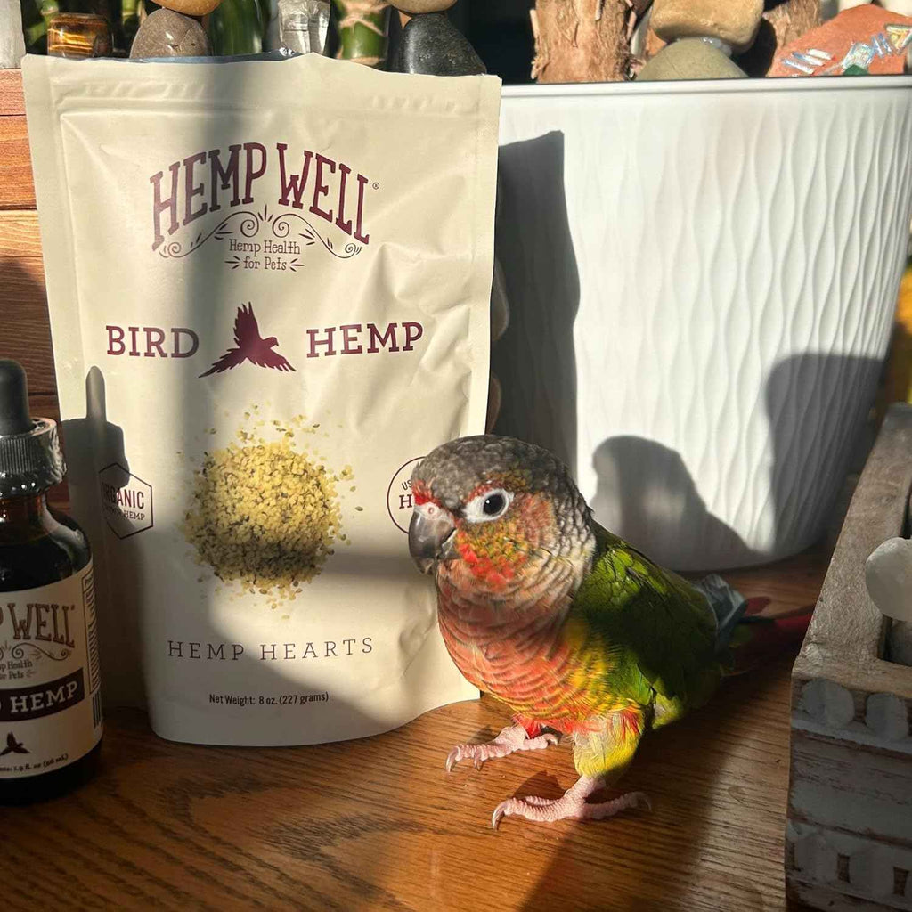 Organic Hemp Hearts for Birds, 8oz Feather Support