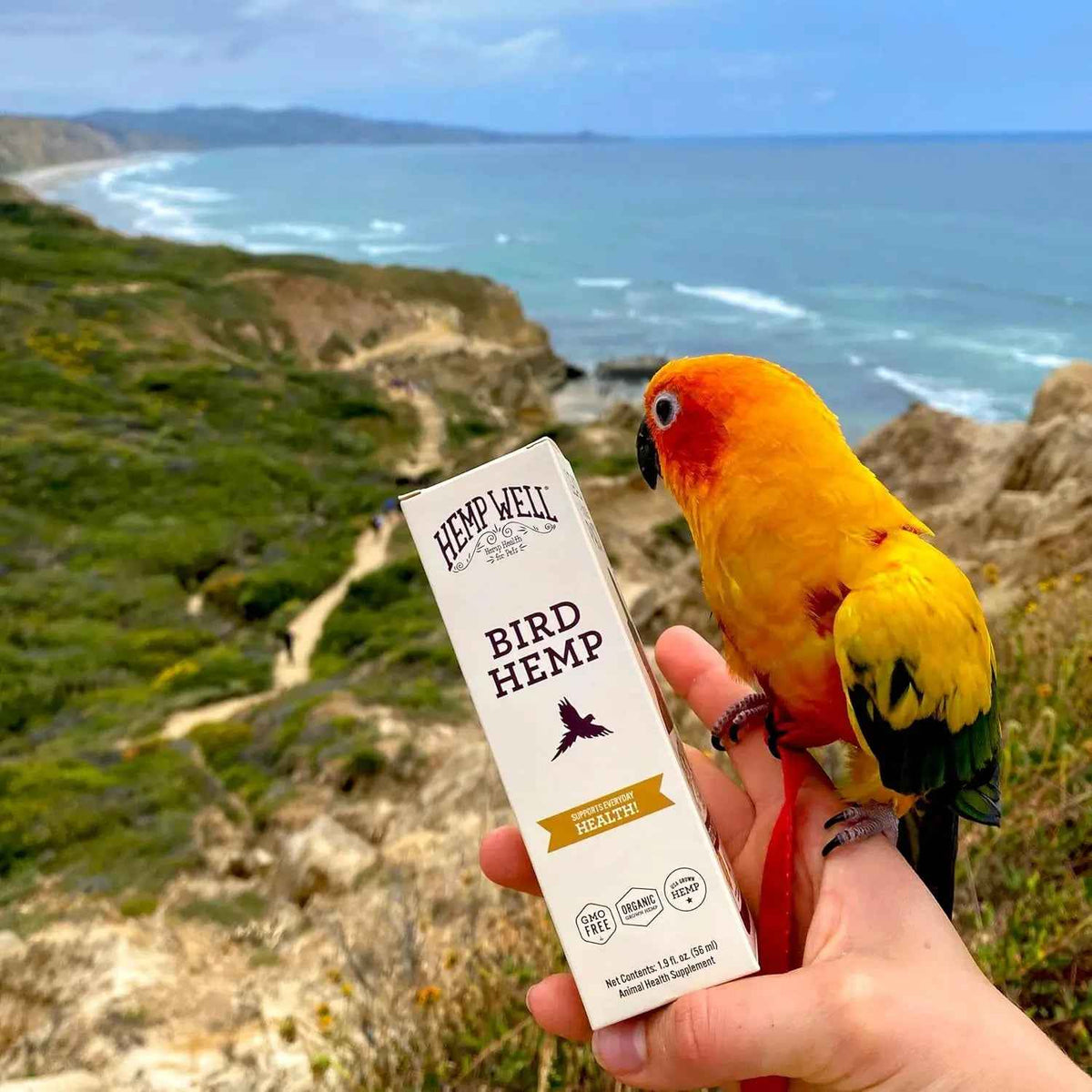 Organic Hemp Oil for Birds 2oz Feather & Immune Support