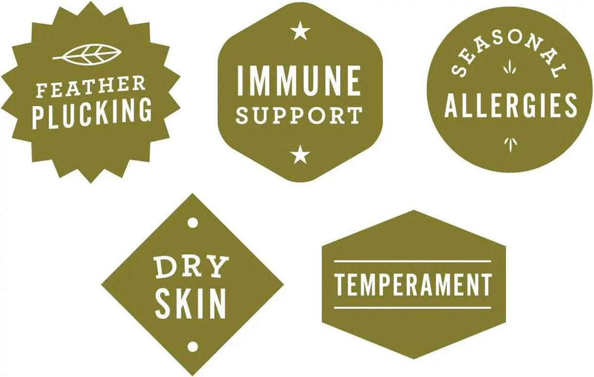 Organic Hemp Oil for Birds 2oz Feather & Immune Support