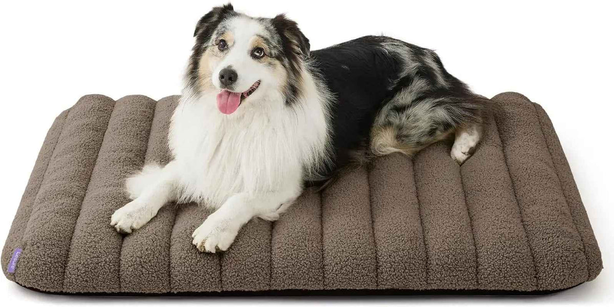 Orthopedic Dog Bed – Waterproof Plush, Washable Cover