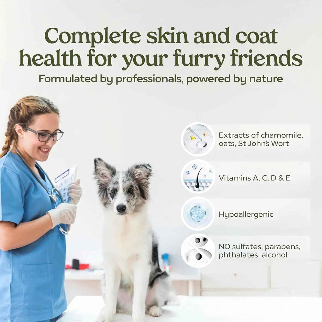 PAWFUME Deshedding Dog Shampoo & Conditioner – Probiotic Detangling Formula