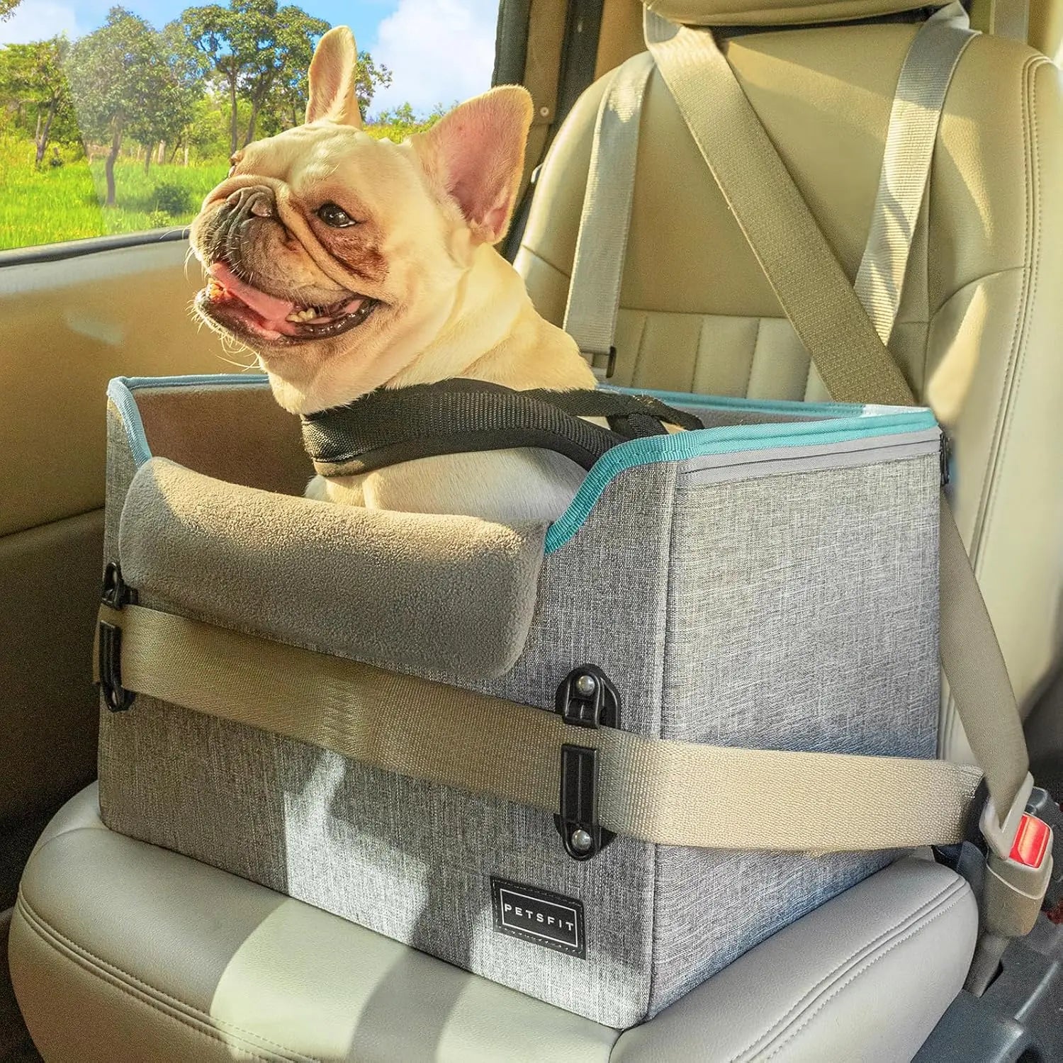 Foldable Dog Car Seat Booster – Safety Buckles & Tether