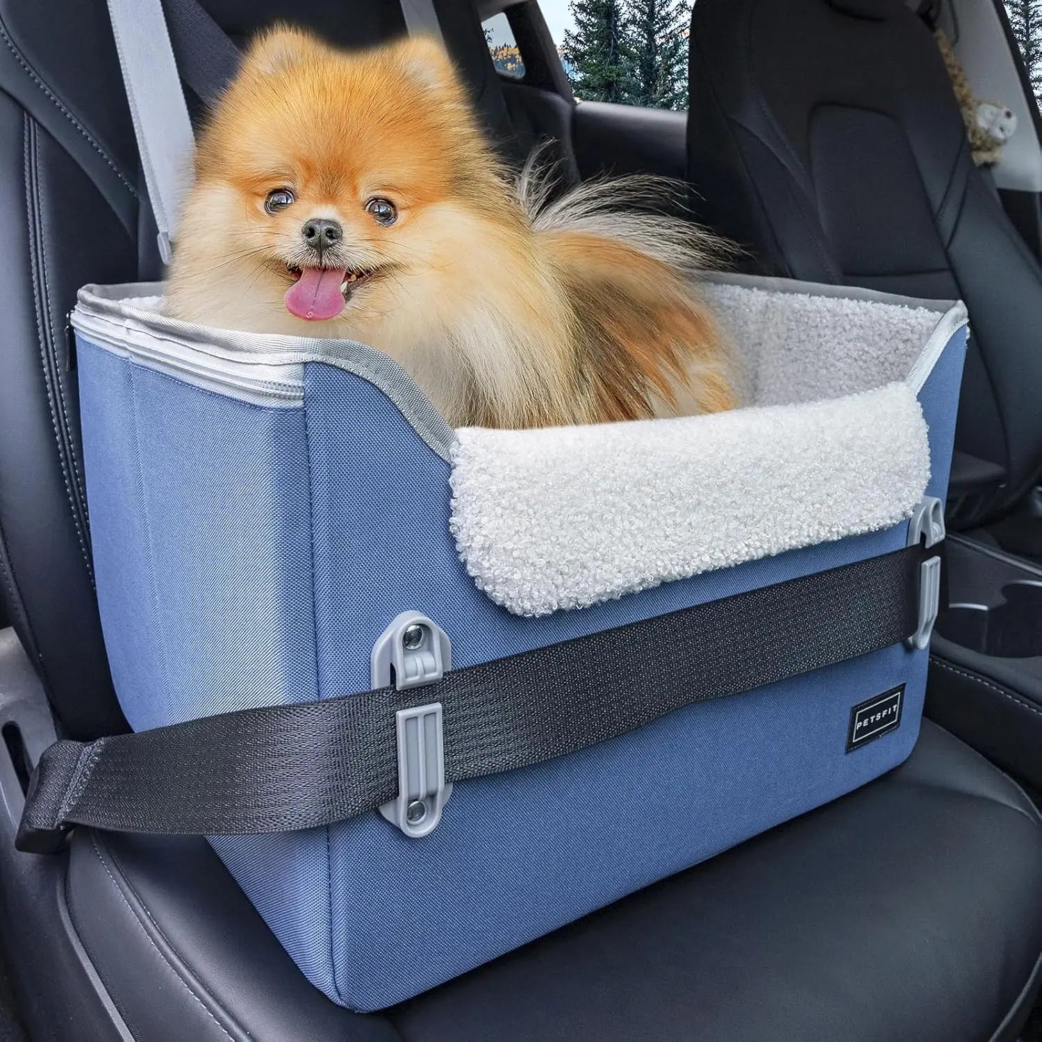 Foldable Dog Car Seat Booster – Safety Buckles & Tether