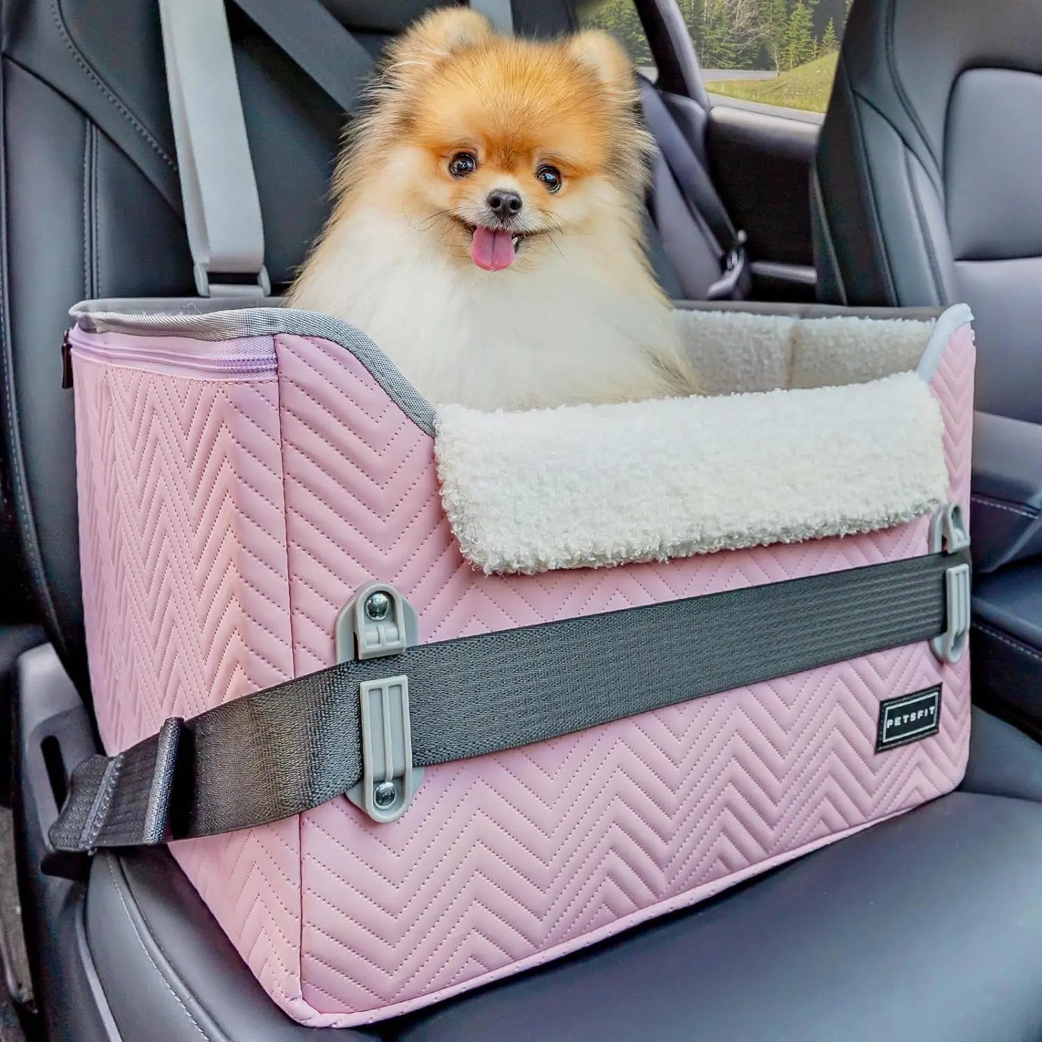 Foldable Dog Car Seat Booster – Safety Buckles & Tether