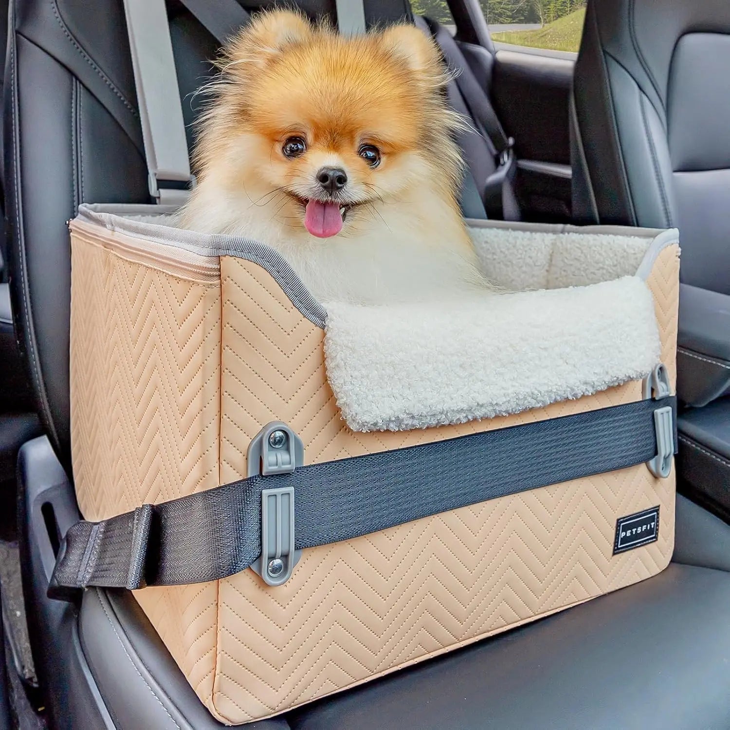 Foldable Dog Car Seat Booster – Safety Buckles & Tether
