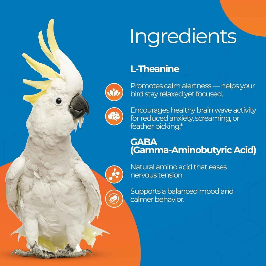 Parrot Calming Supplement Unruffledrx Bird Stress Relief Non Sedating 150 Servings