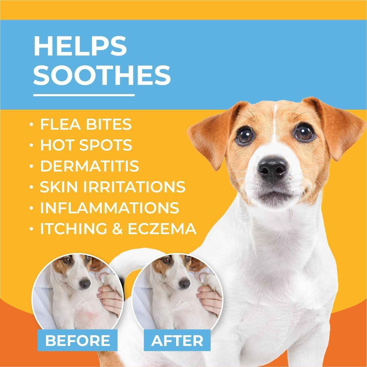 Pet Anti Itch Cream with Hydrocortisone for Hot Spots