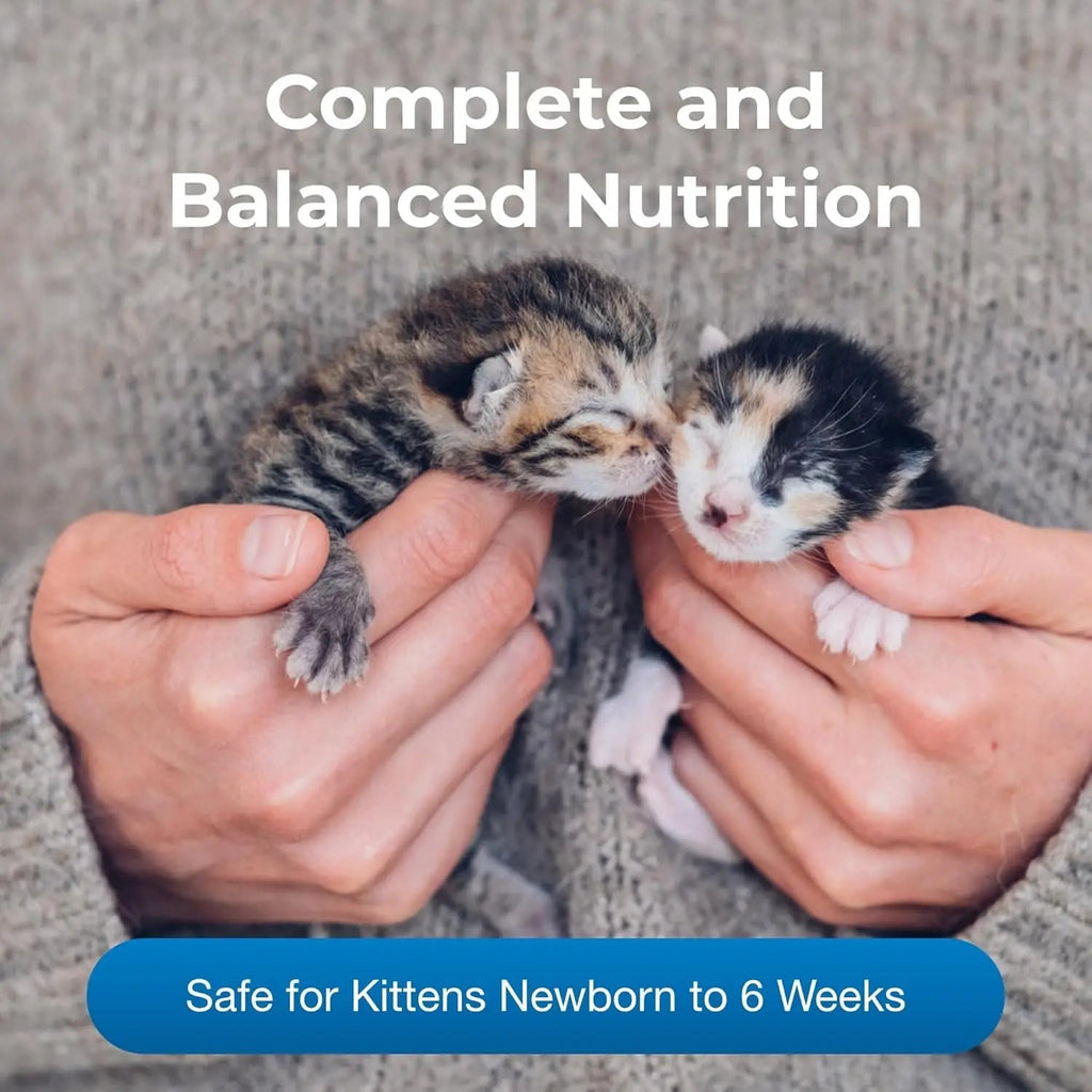 PetLac Kitten Milk Replacer Powder 10.5 oz – Easy Digest Formula
