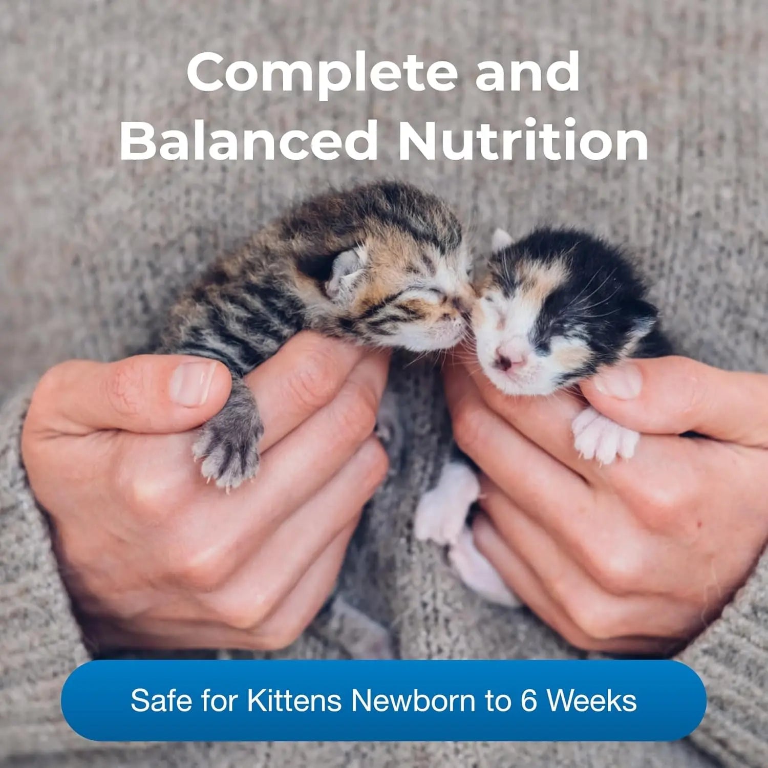 PetLac Kitten Milk Replacer Powder 10.5 oz – Easy Digest Formula