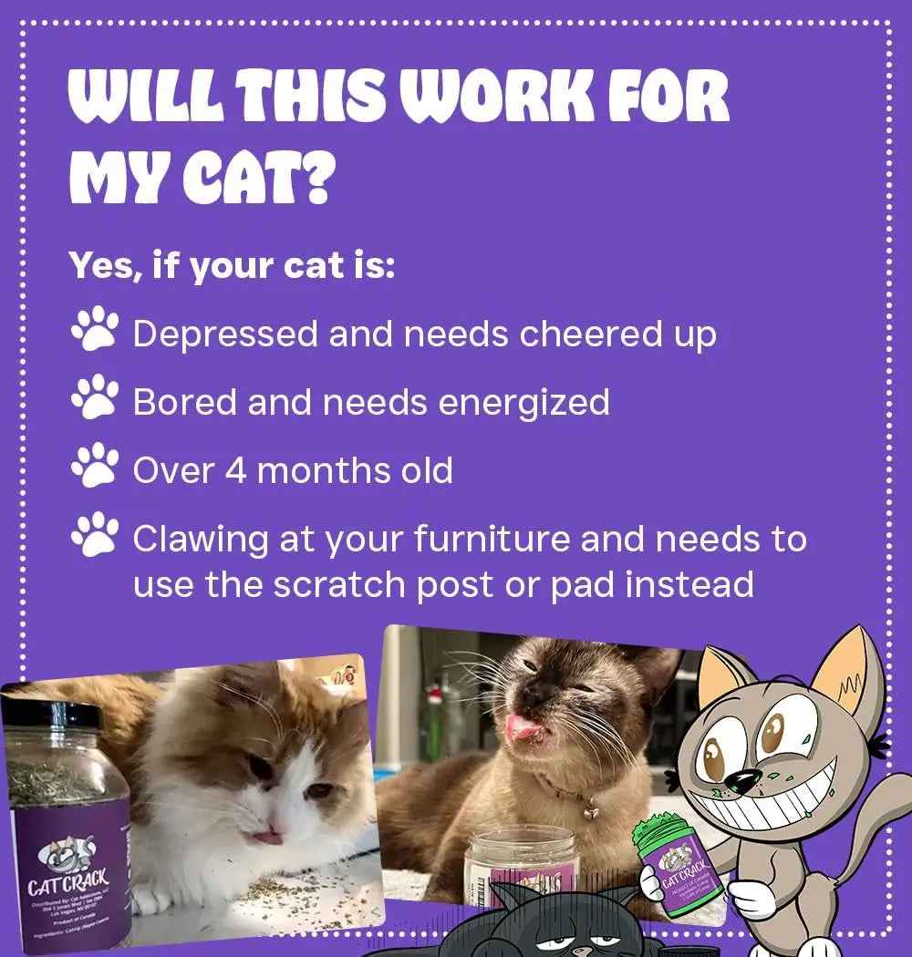 Premium Natural Catnip Blend for Cat Play & Training