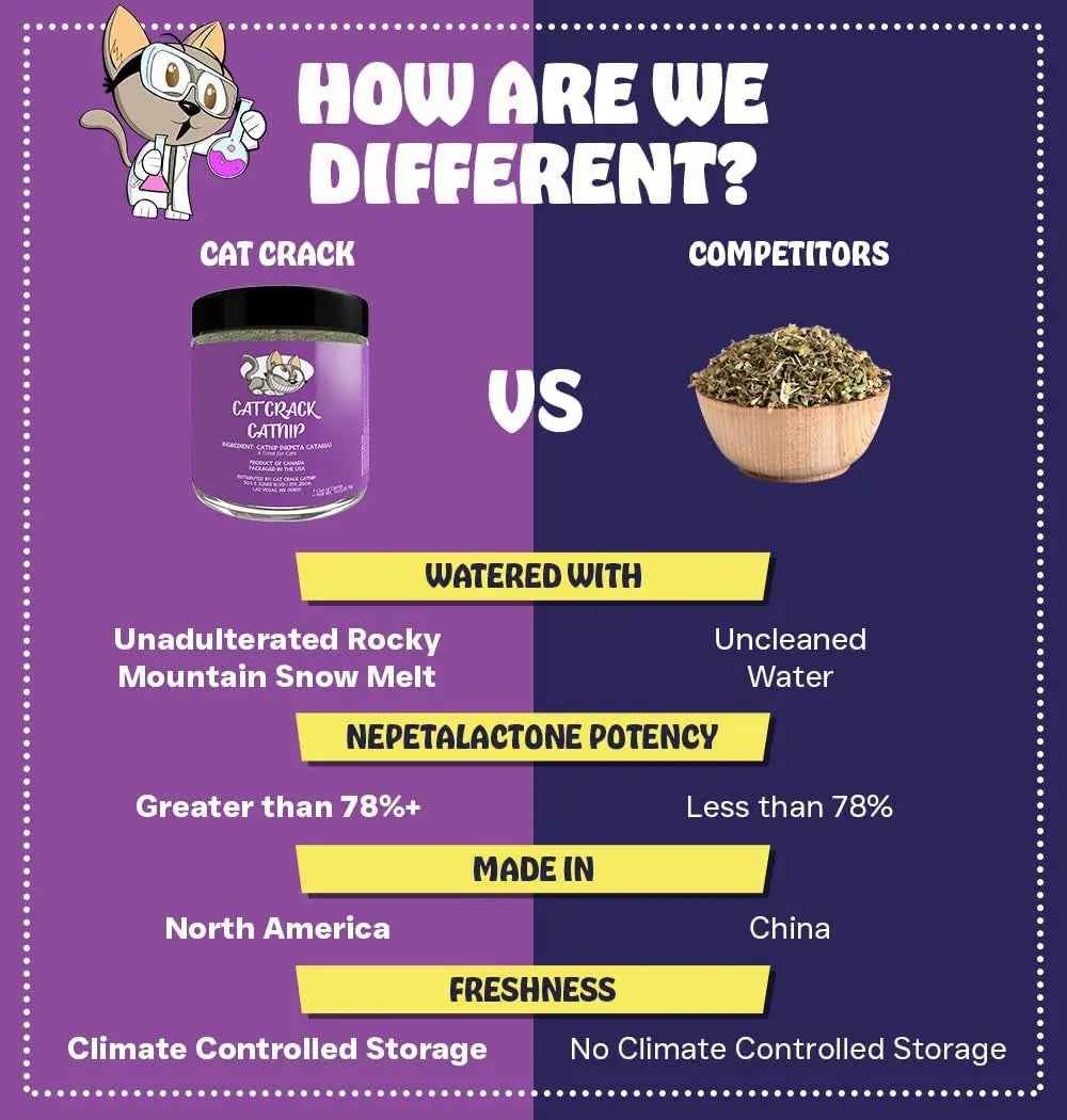 Premium Natural Catnip Blend for Cat Play & Training