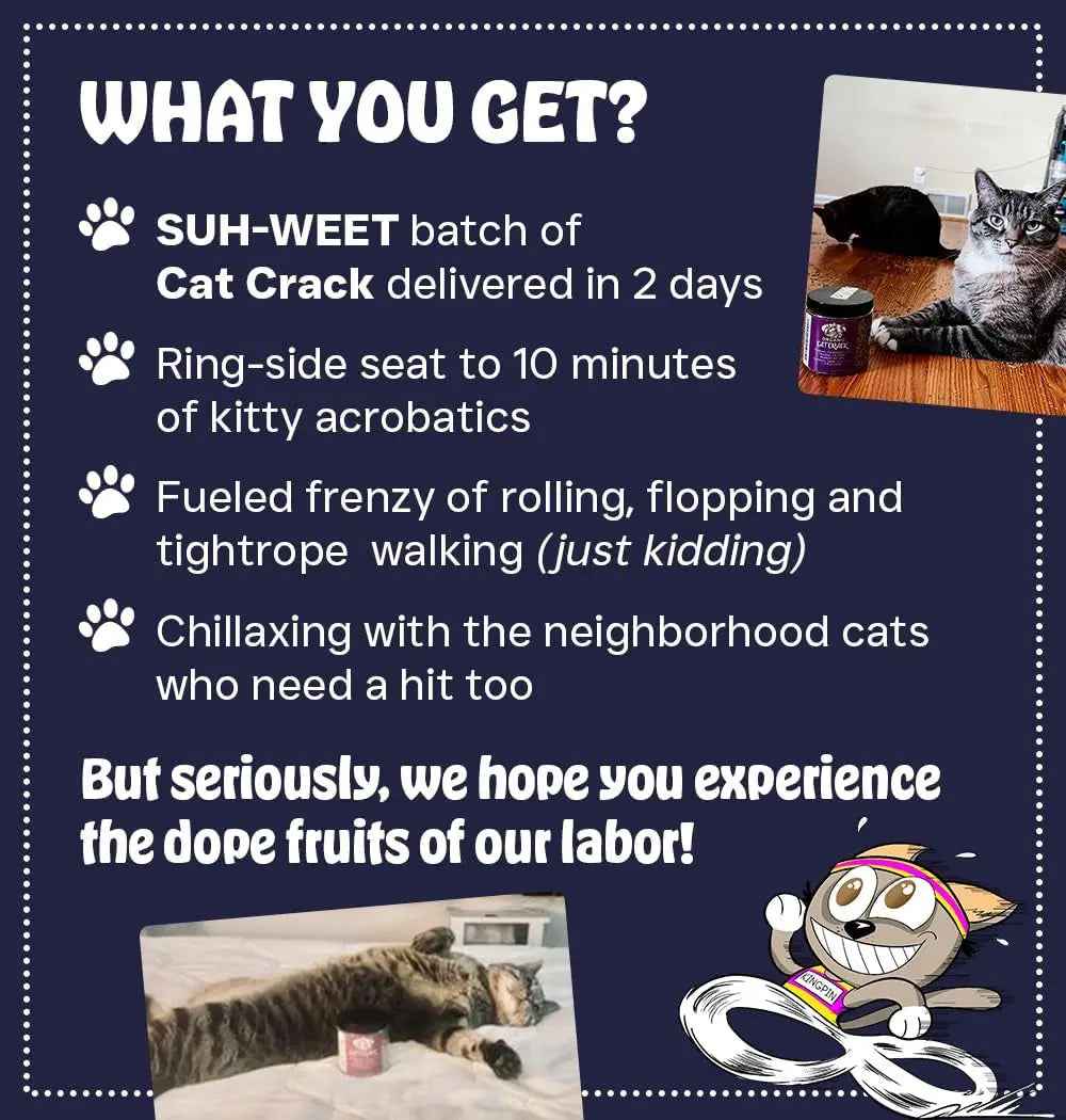 Premium Natural Catnip Blend for Cat Play & Training