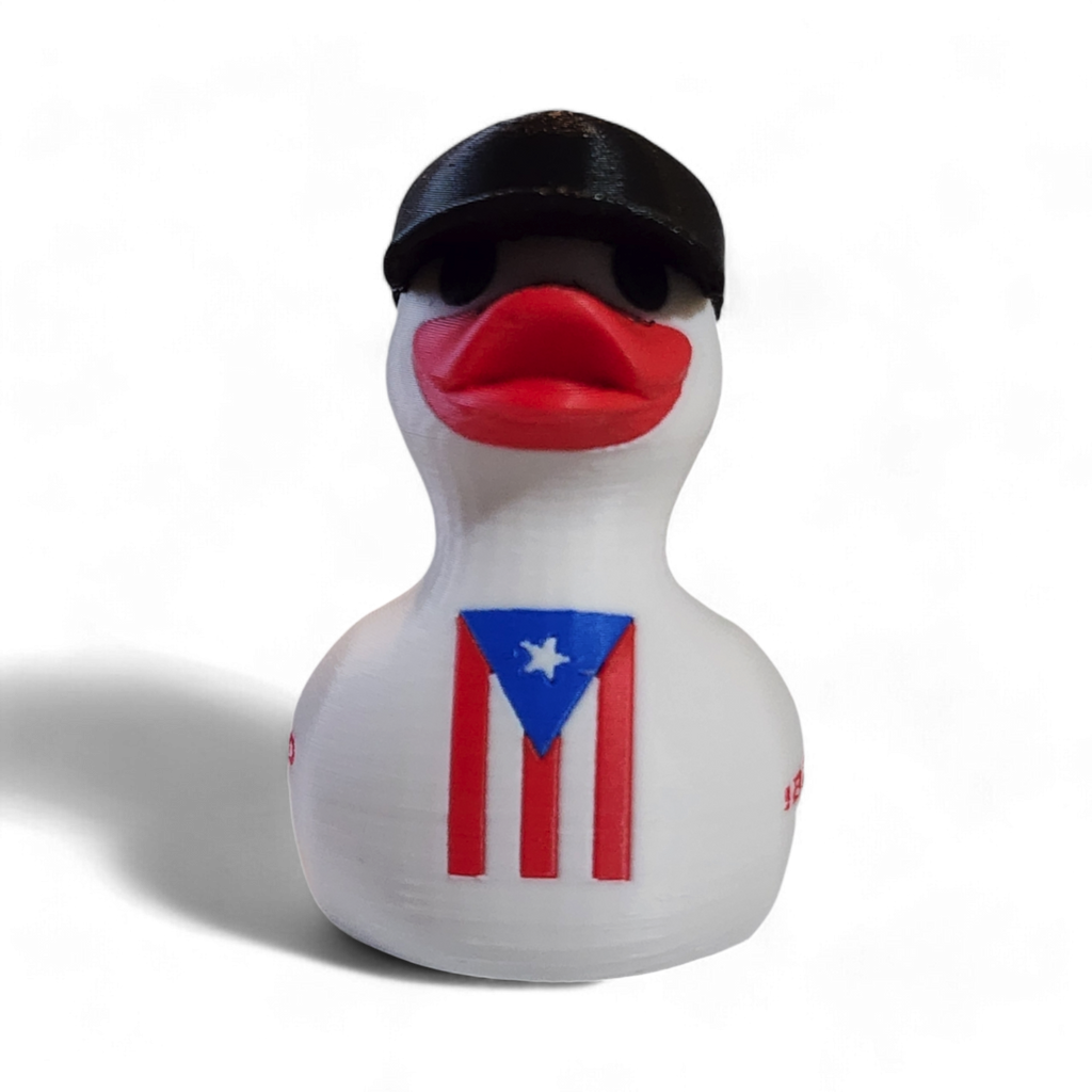 Puerto Rico Duck