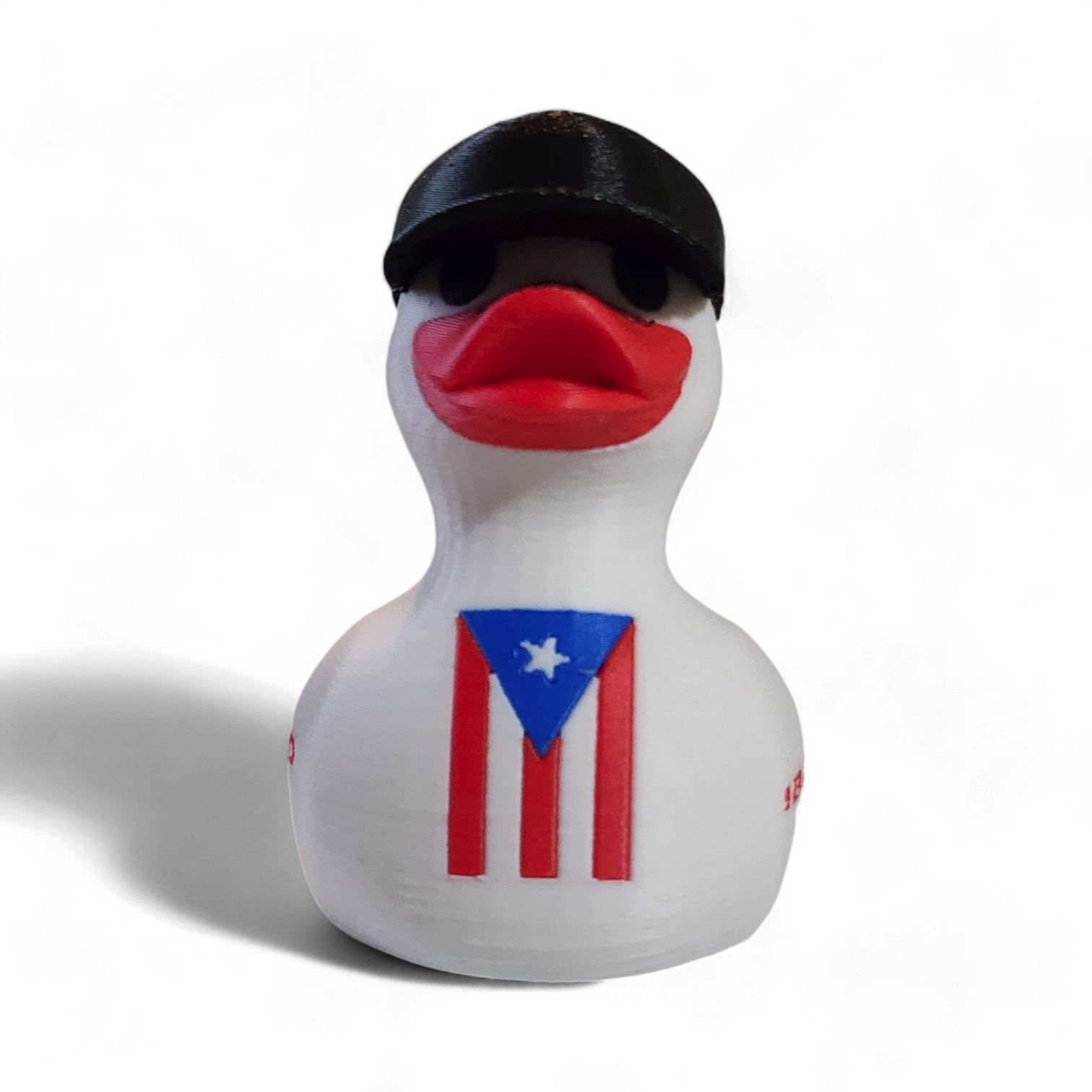 Puerto Rico Duck