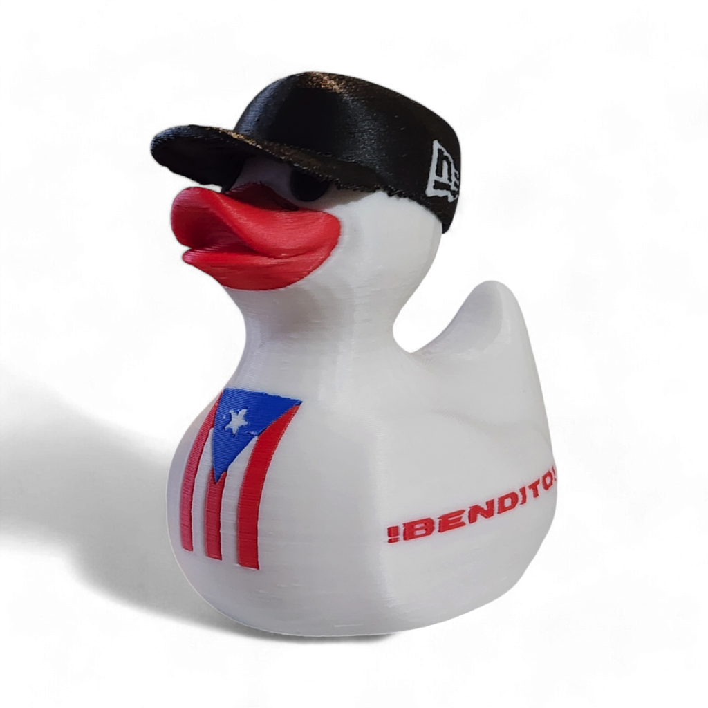 Puerto Rico Duck