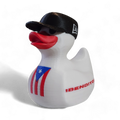 Puerto Rico Duck