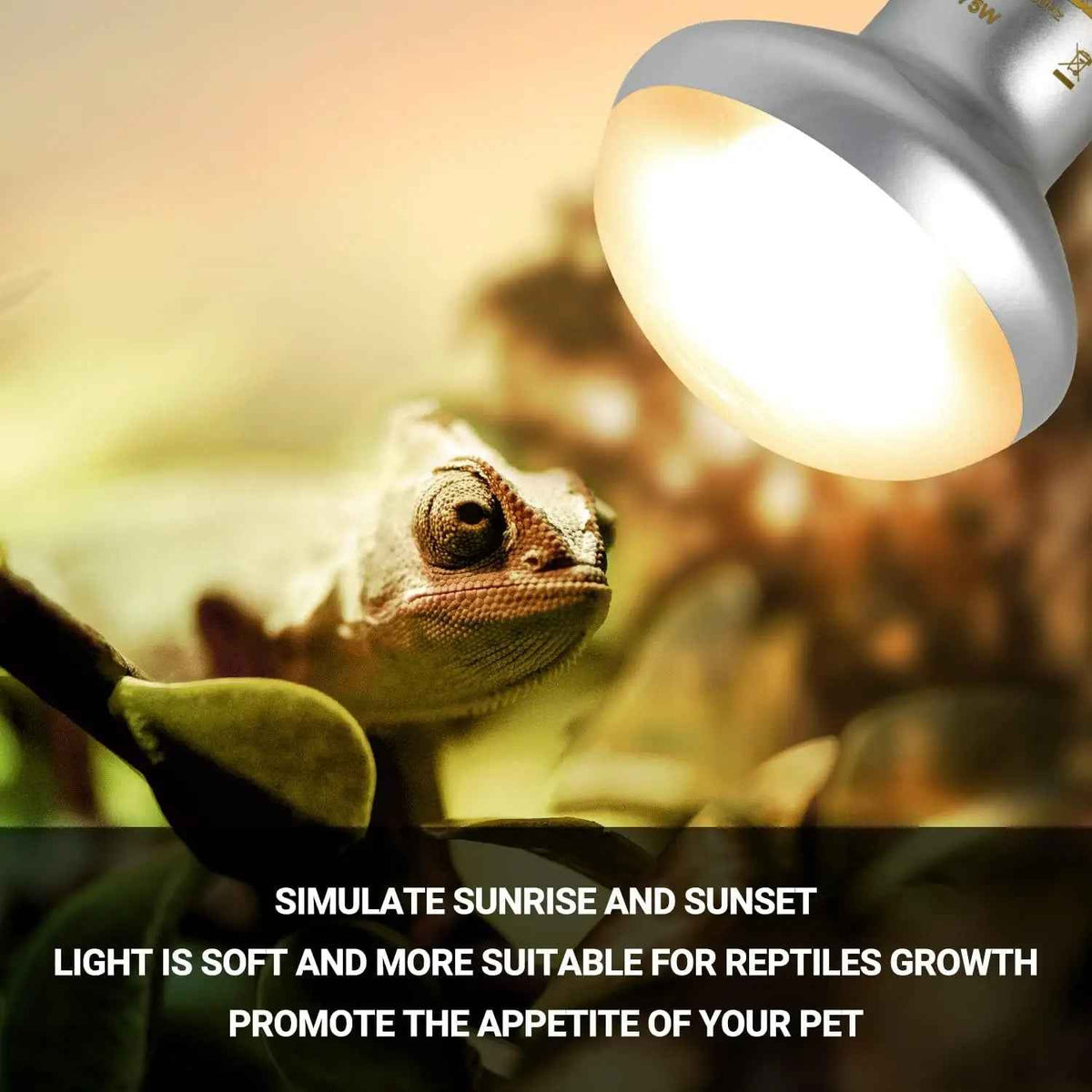 75W Reptile Heat Lamp Bulb 2-Pack, UVA & Infrared, E26