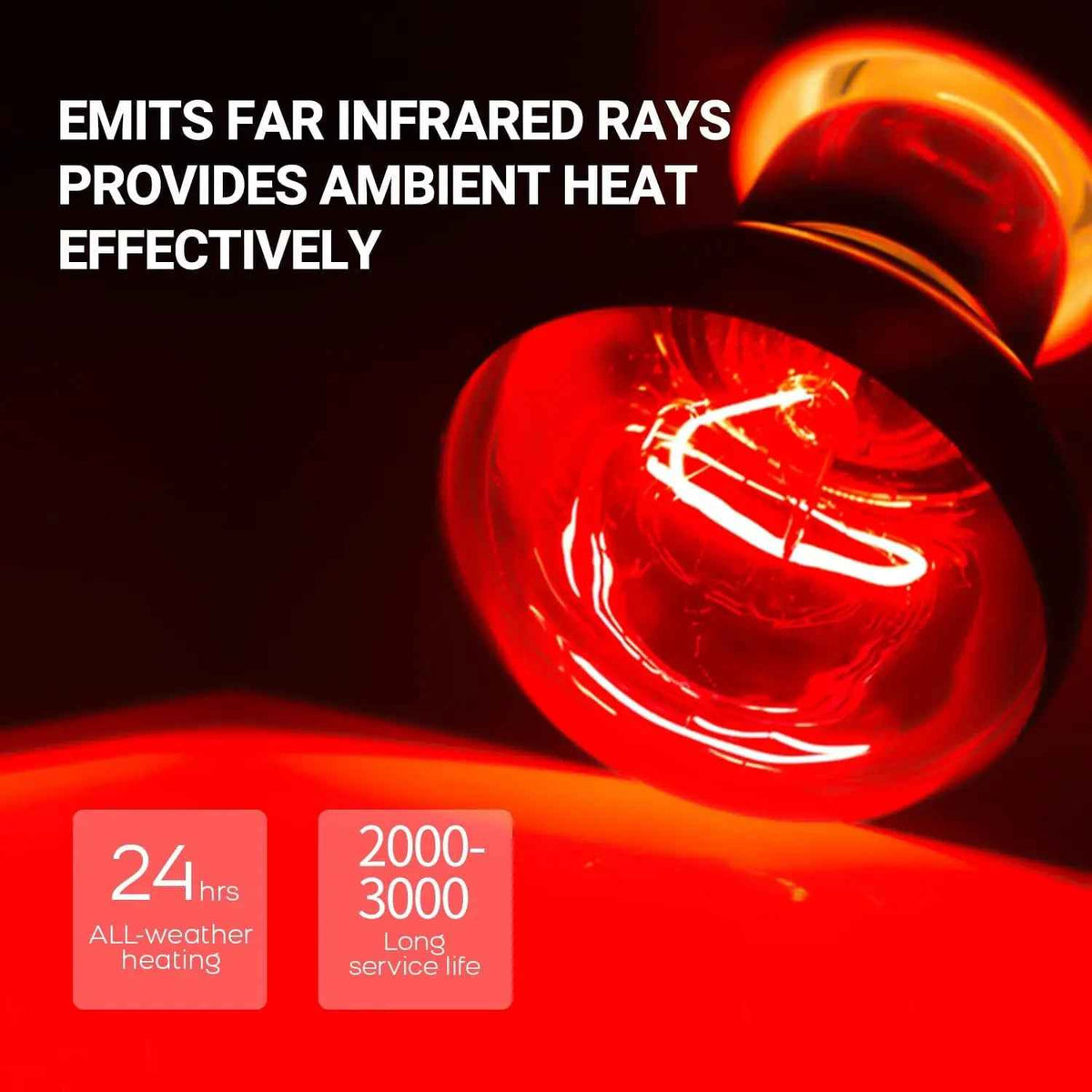 75W Reptile Heat Lamp Bulb 2-Pack, UVA & Infrared, E26