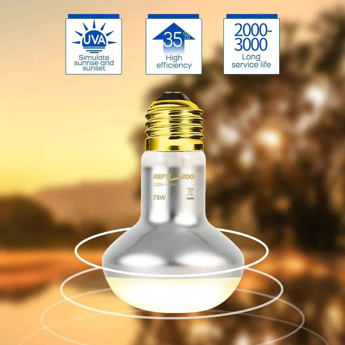75W Reptile Heat Lamp Bulb 2-Pack, UVA & Infrared, E26