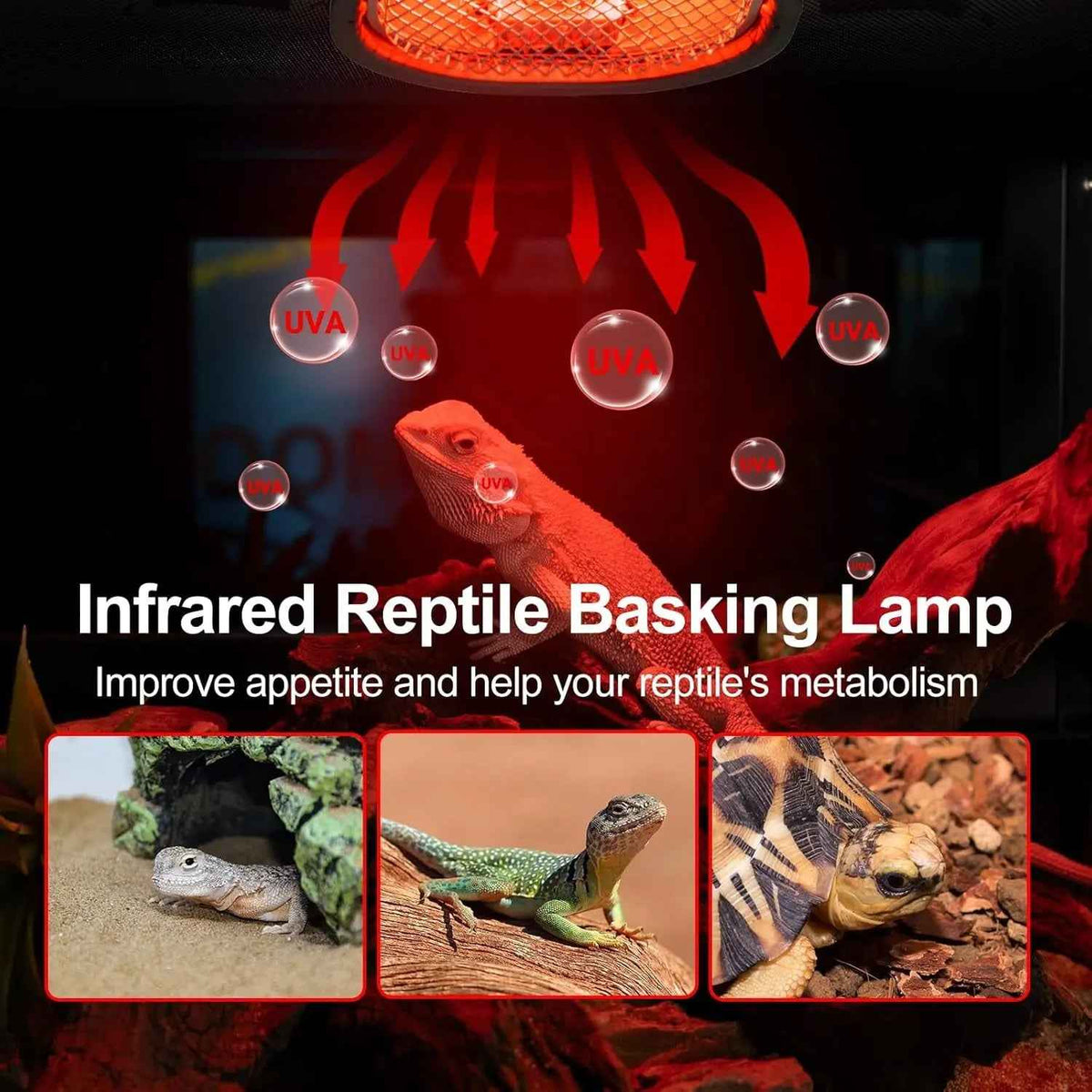 G9 Reptile Infrared Heat Lamp Kit 50W UVA Basking Light Hood