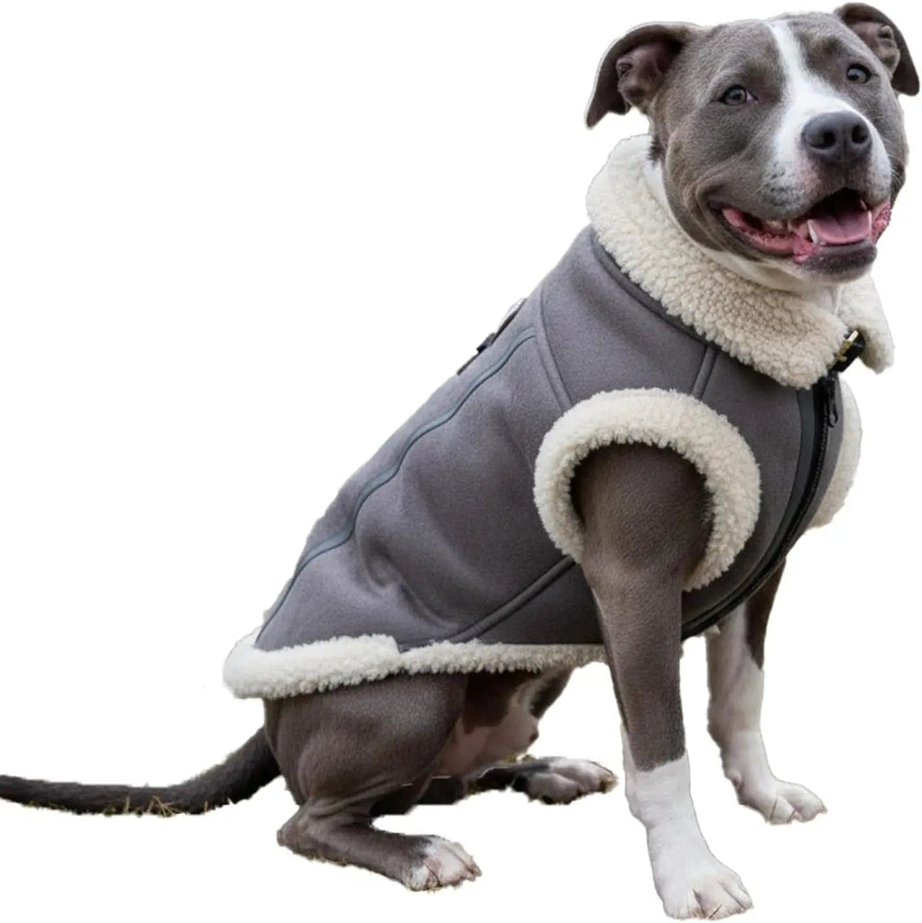 Retro Aviator Dog Jacket – Faux Leather Sherpa Coat