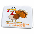 3dRose Funny Thanksgiving Day Survivor Turkey - Dish Drying Mats (ddm-118709)