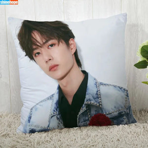 Pillowcase 16