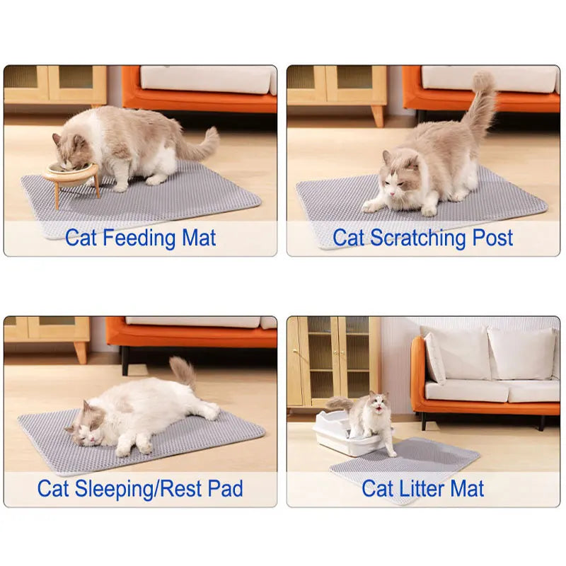 Double-Layer Cat Litter Trapping Mat with Non-Slip Base
