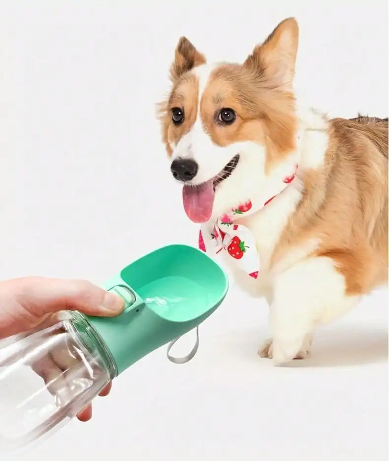 Portable Dog Water Bottle for Walking & Hiking