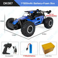 ZWN 1:16/1:20 RC Car 2WD Off-Road Remote Control Car with LED Light