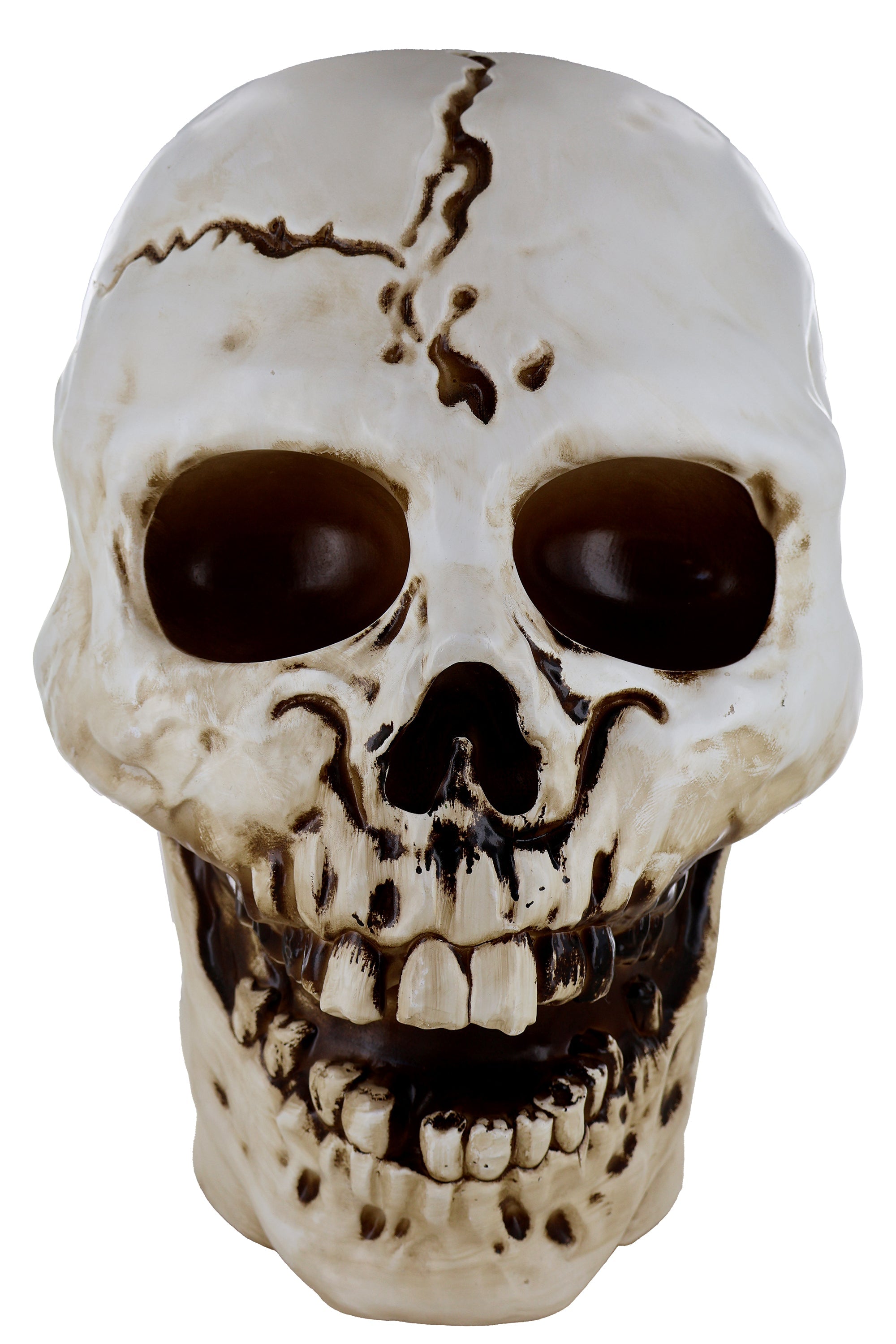 Giant Skull Animatronic Lamp Prop 20-Inch-Tall Heavy Duty Polyresin Halloween Decoration