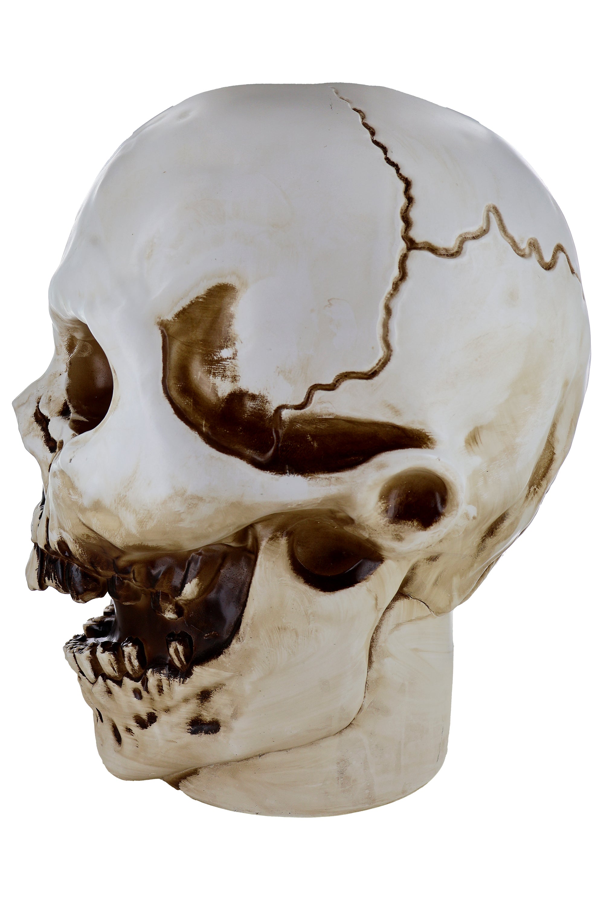 Giant Skull Animatronic Lamp Prop 20-Inch-Tall Heavy Duty Polyresin Halloween Decoration