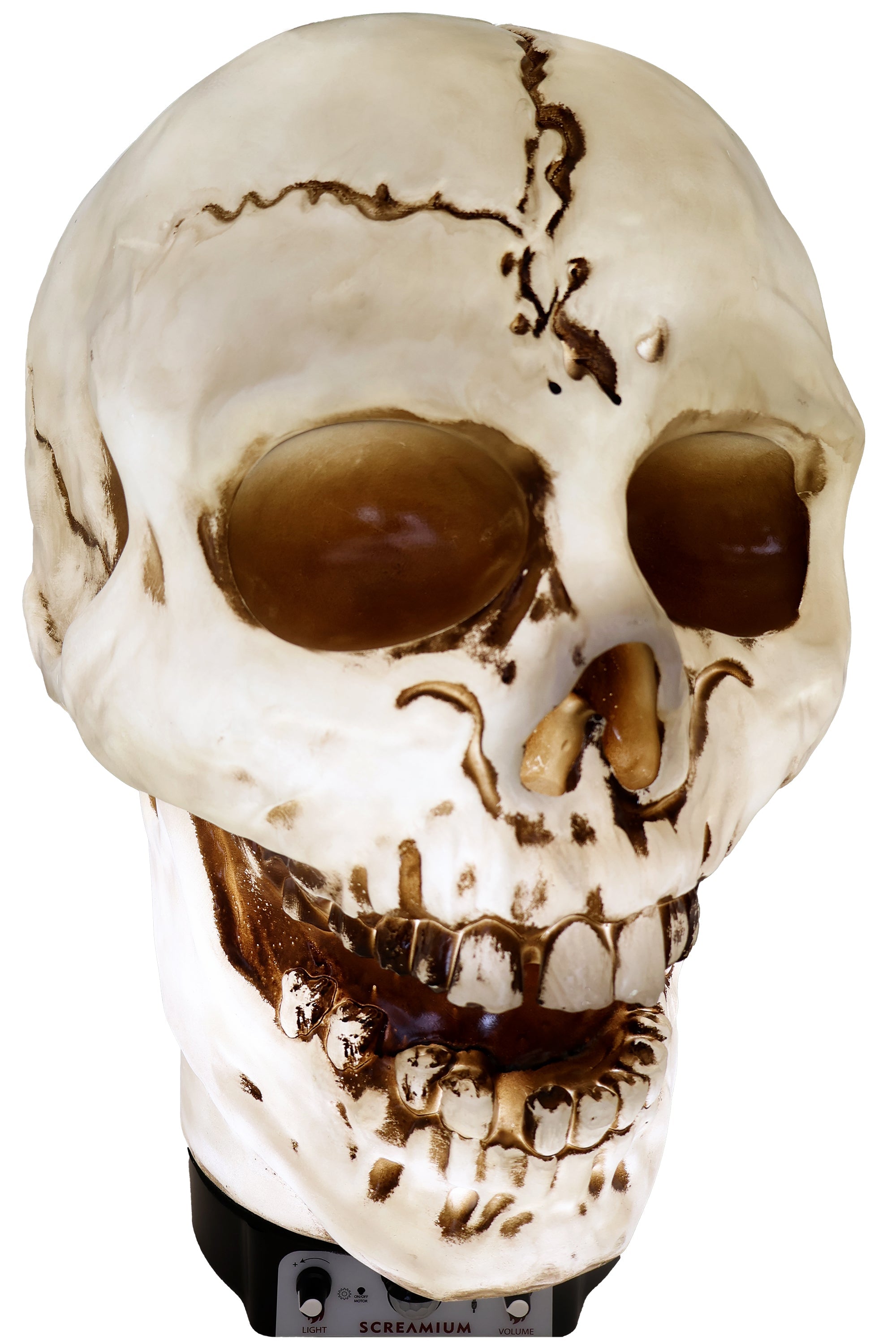Giant Skull Animatronic Lamp Prop 20-Inch-Tall Heavy Duty Polyresin Halloween Decoration