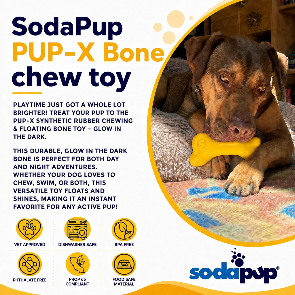 PUP-X Rubber Bone Dog Toy - Durable, Floats, Chew Toy for Large Dogs | USA