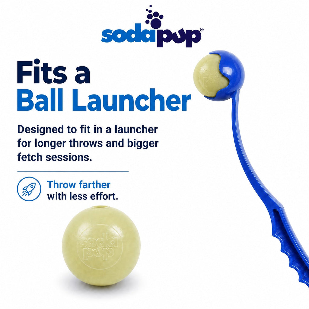 Glitter Ball 3-Pack Dog Toy | Soft PUP-X Rubber Floating Fetch Ball with Treat Dispenser | USA Made
