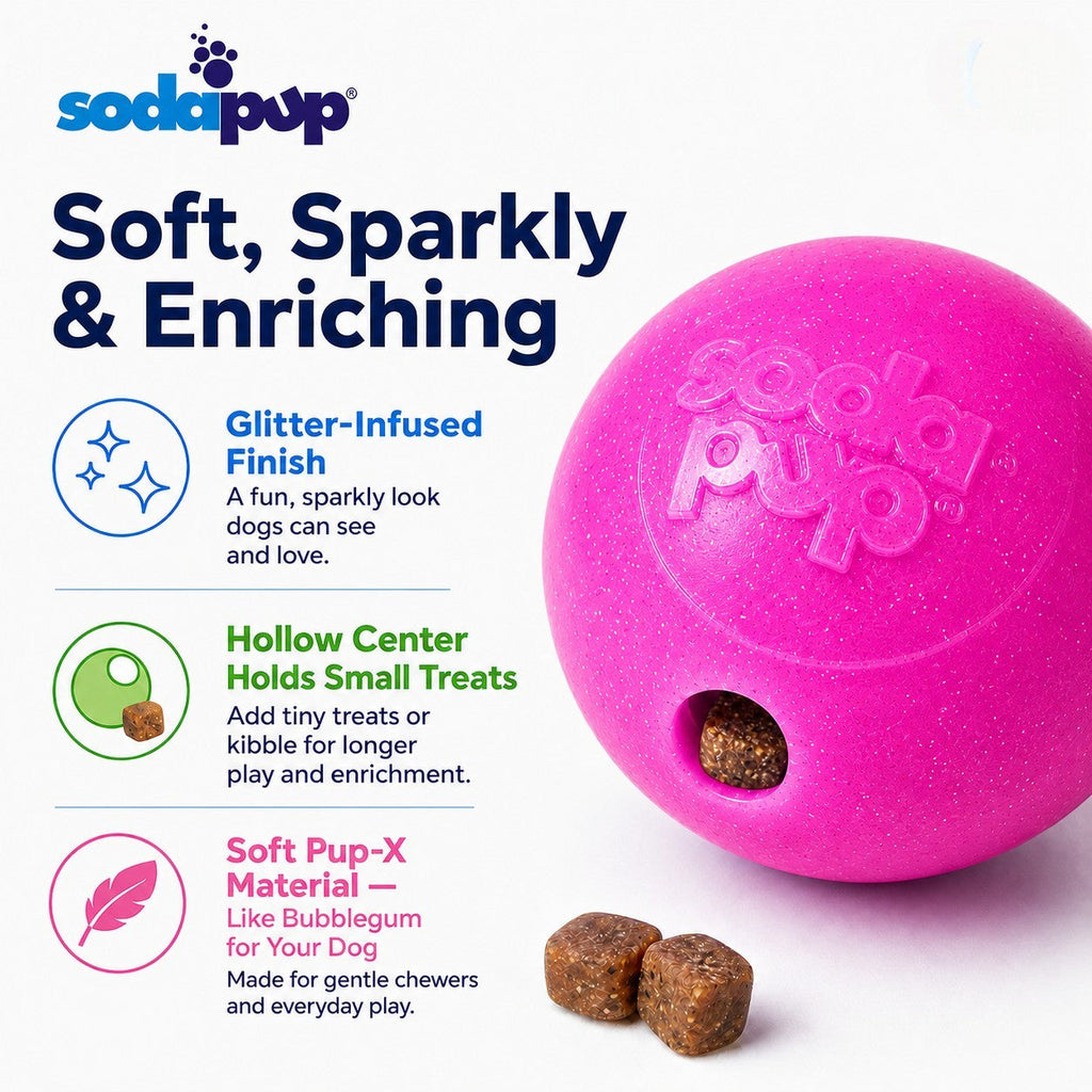 Princess Pack 2-Pack Dog Toy | Pink Glitter Ball + Unicorn Horn Chew Toy | USA Made