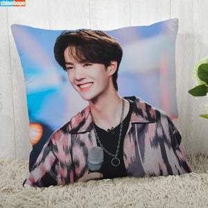 Pillowcase  4