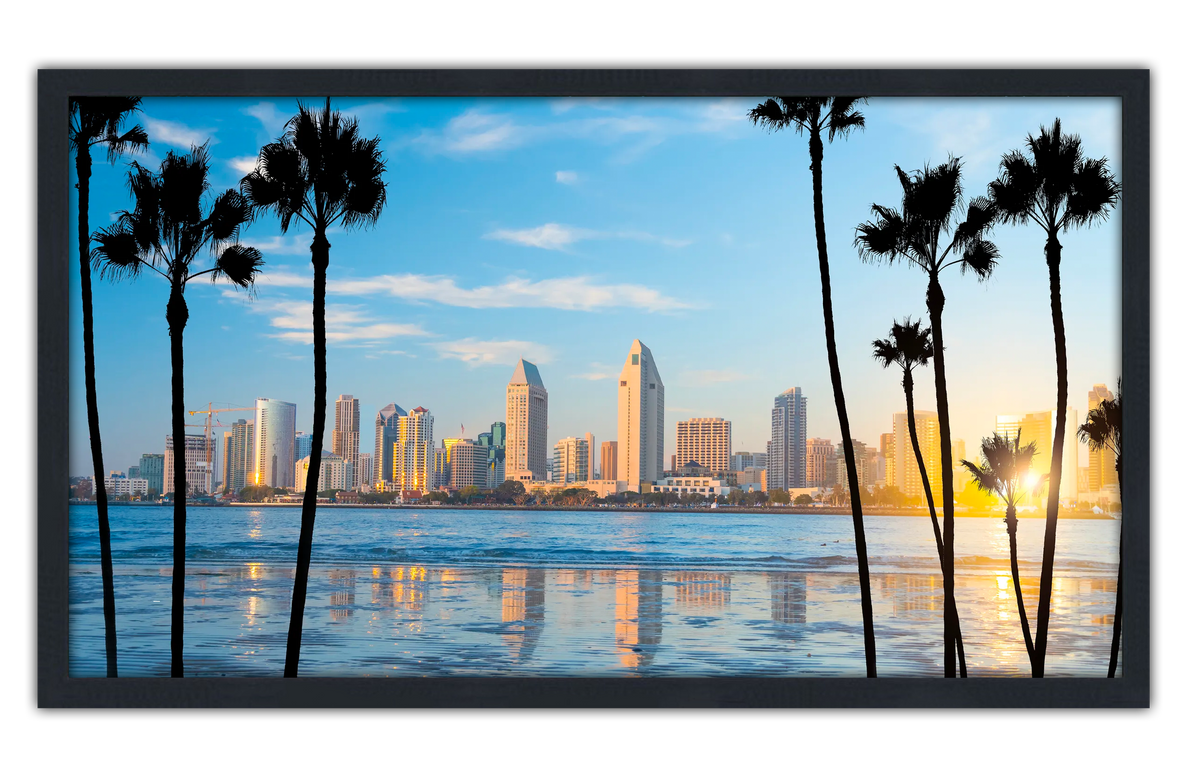 Professionally Framed San Diego California Skyline High-Resolution Panoramic Photo 12x22 Wall Art