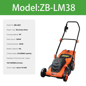 LM38