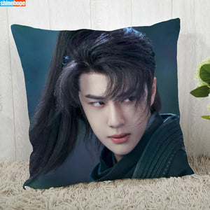 Pillowcase 3