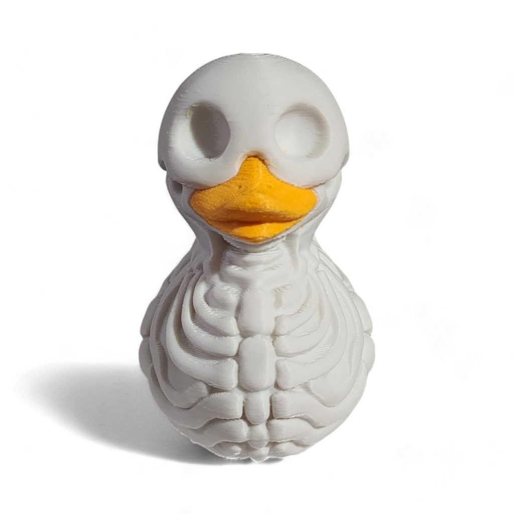 Skeleton Duck